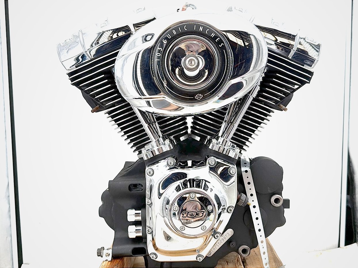 2015 Harley Softail Deluxe FLSTN OEM EFI Twin Cam 103 Engine Motor 19K