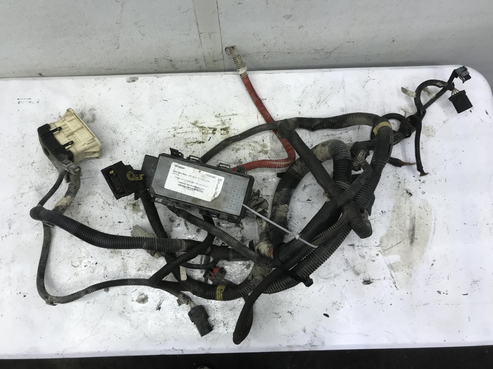 Freightliner CASCADIA Left/Driver Wiring Harness, Cab - Used Freightliner CASCADIA Left/Driver Wiring Harness, Cab - Used