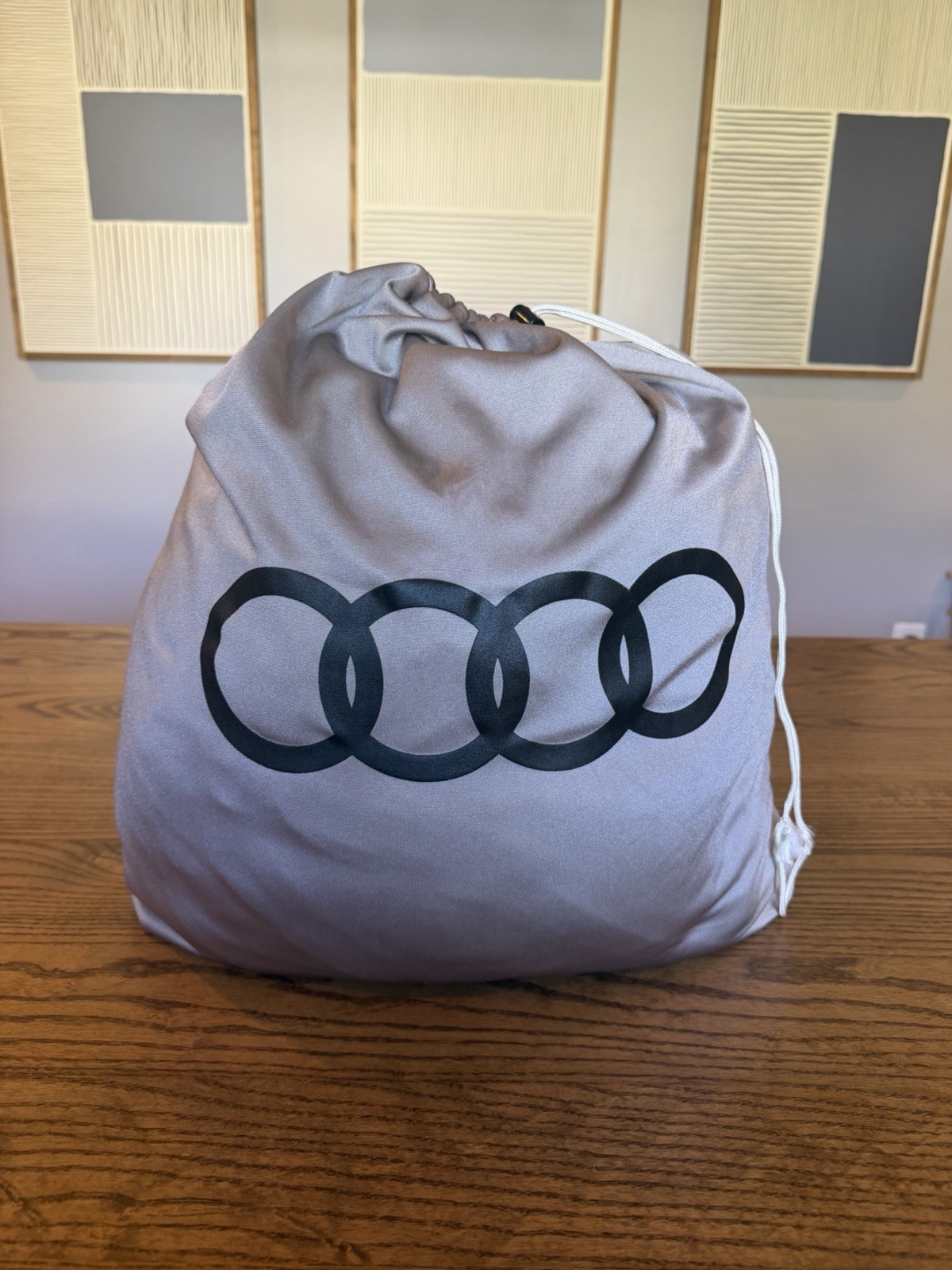 2008 -2015 GEN 1 AUDI R8 Indoor Car Cover OEM Rare Obsolete
