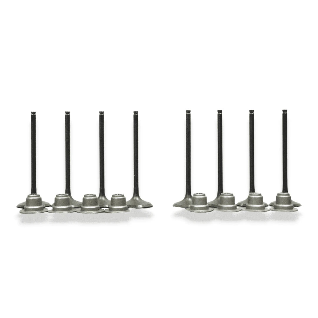 2015-2024 Polaris RZR/Ranger/ACE 900 and 2018-2026 Ranger XP 1000 | Valve Kit