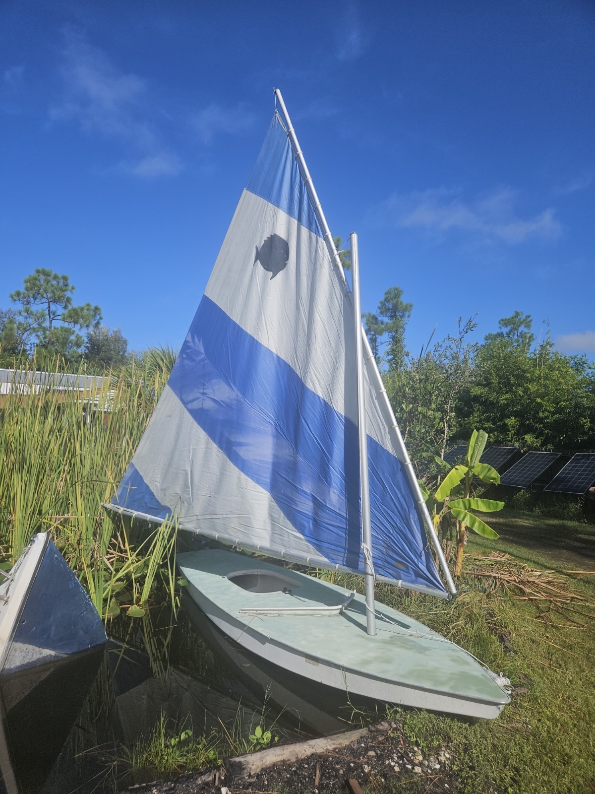 Vintage Sunfish Sailboat Project With Trailer  Delivery Available