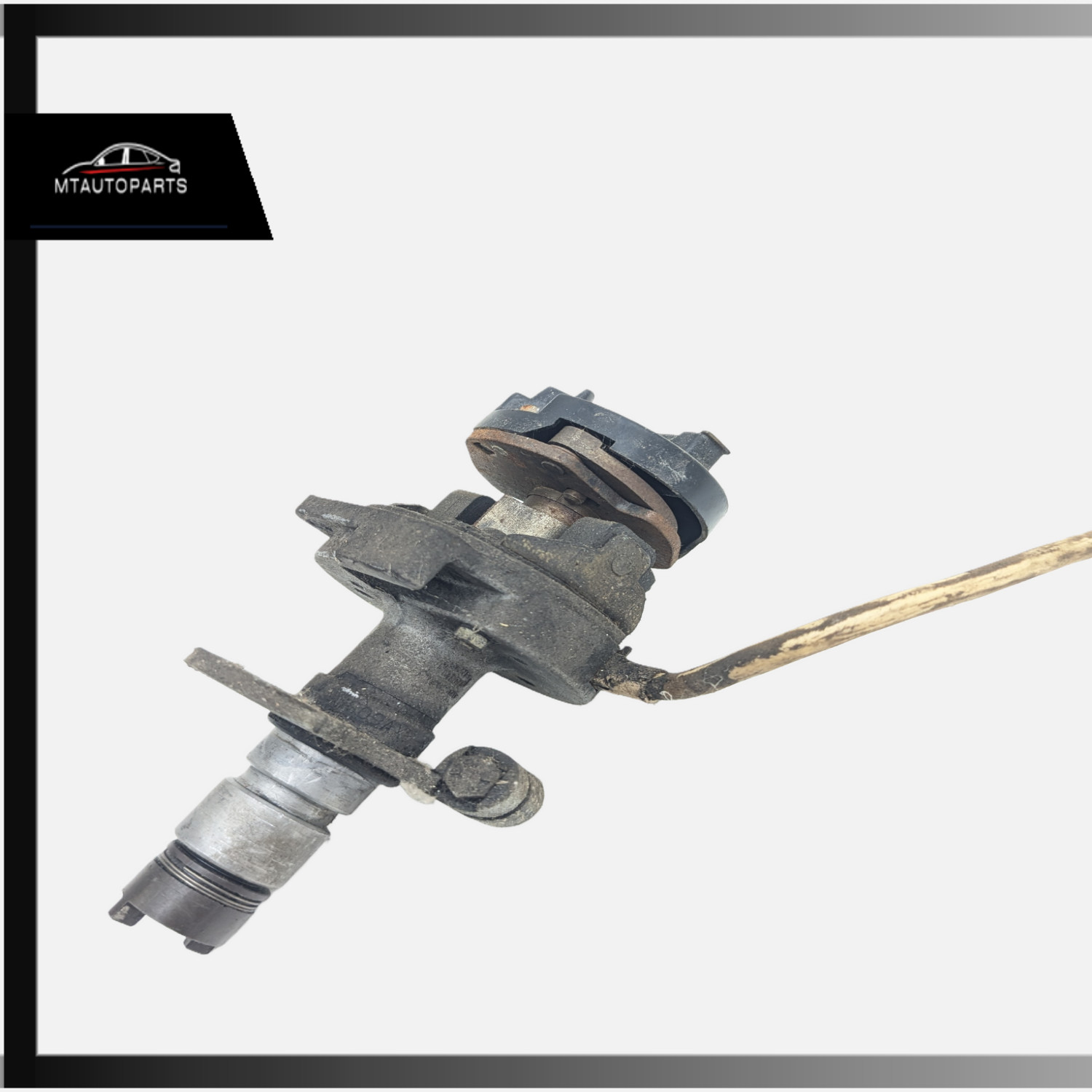 1981 Alfa Romeo SPIDER distributor