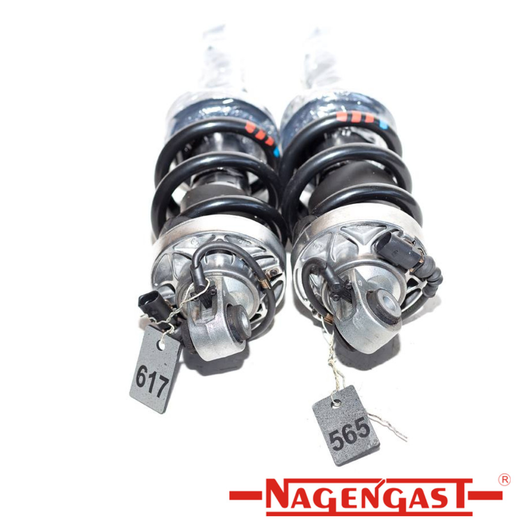 Audi R8 Magnetic Ride Shock Set (2) | OEM Remanufactured by Nagengast
