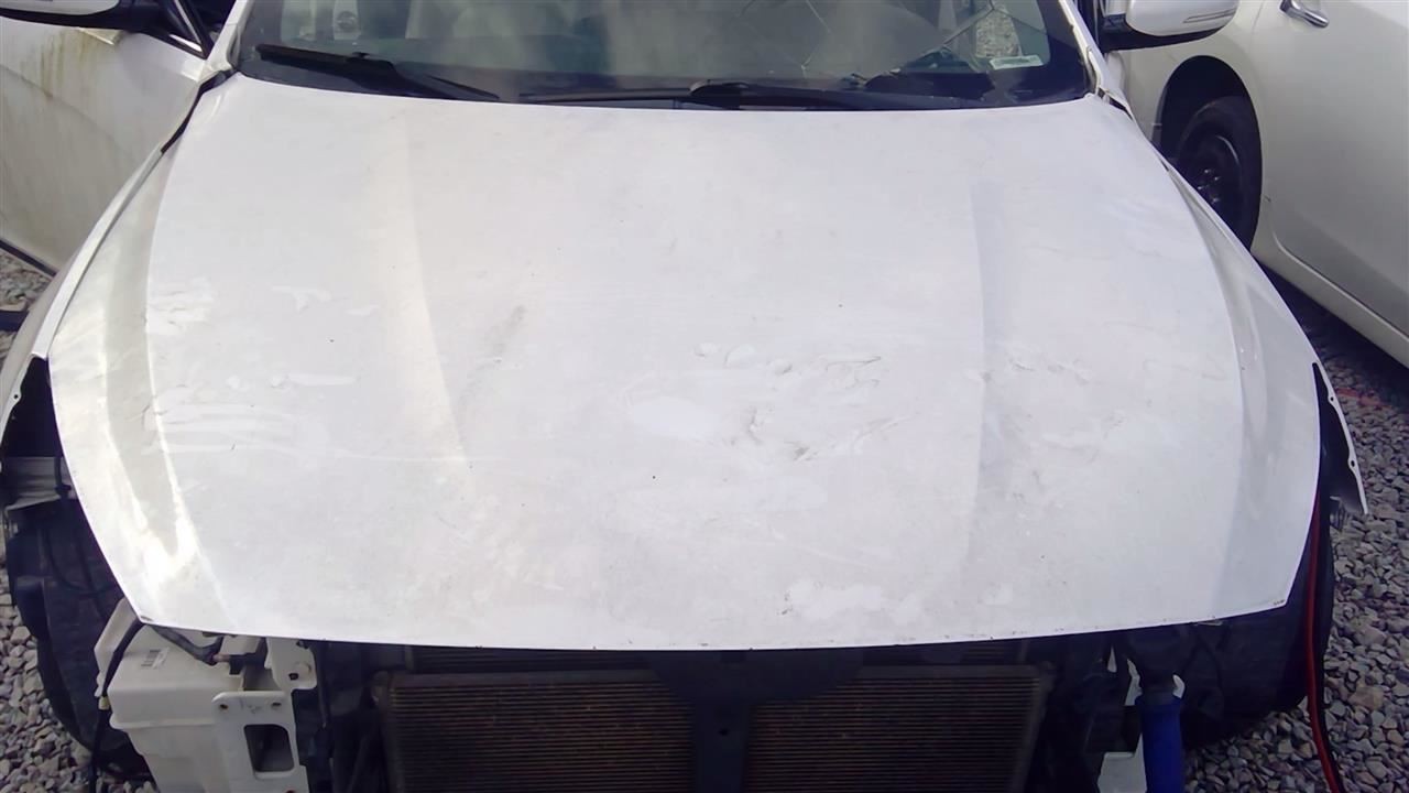 Used Hood fits: 2014 Kia Cadenza  Grade A