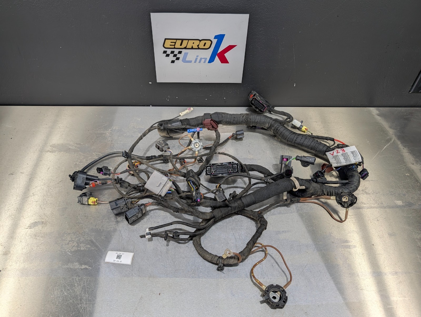 2022-2024 AUDI E-TRON GT Body Wiring Harness CUT 2022-2024 AUDI E-TRON GT Body Wiring Harness CUT