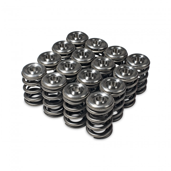 Skunk2 for Alpha Series Valve Spring and Titanium Retainer Kit - Honda