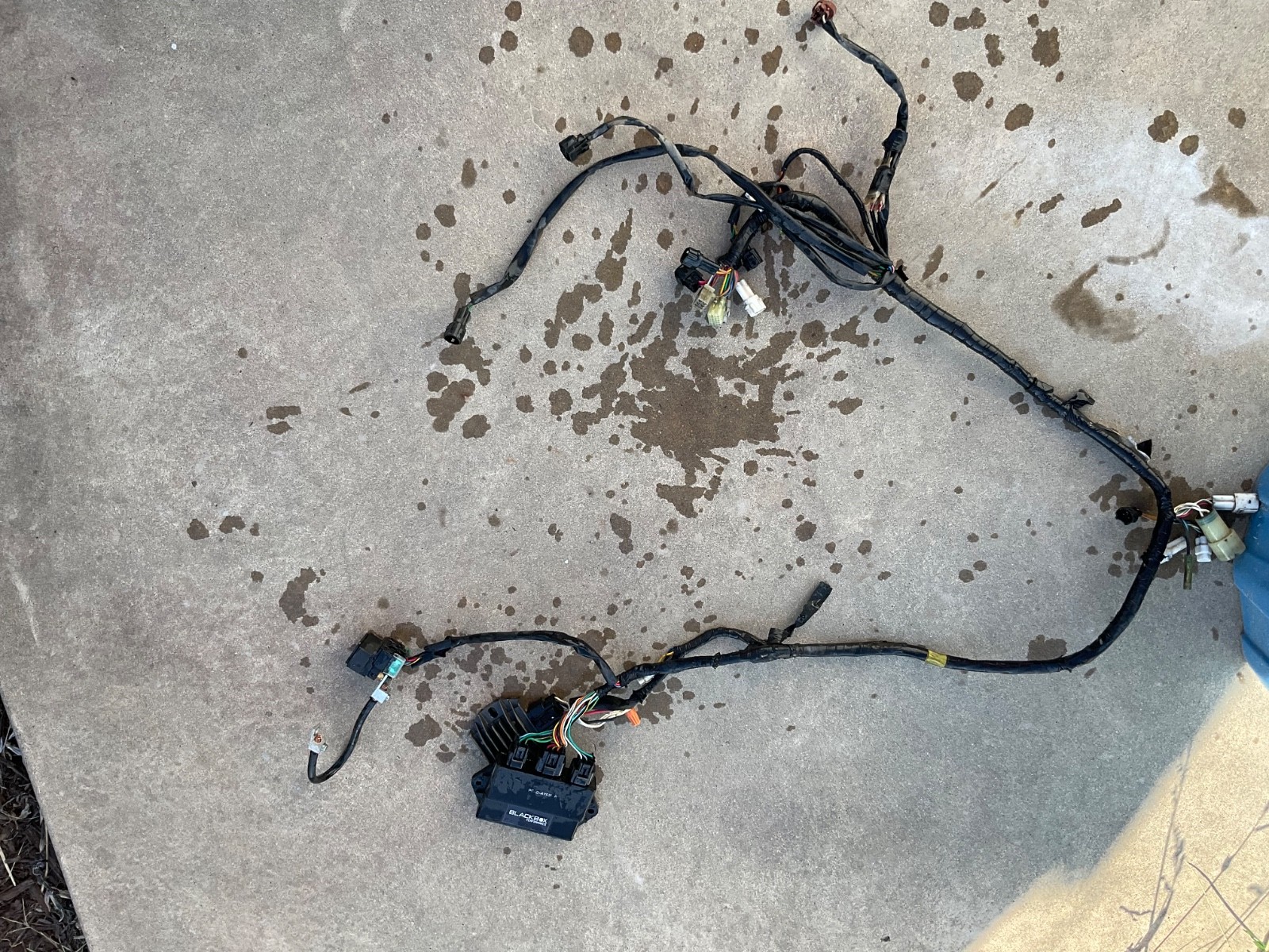 02-04 Yamaha Raptor 660 Main Electrical Wiring Harness 02-04 Yamaha Raptor 660 Main Electrical Wiring Harness