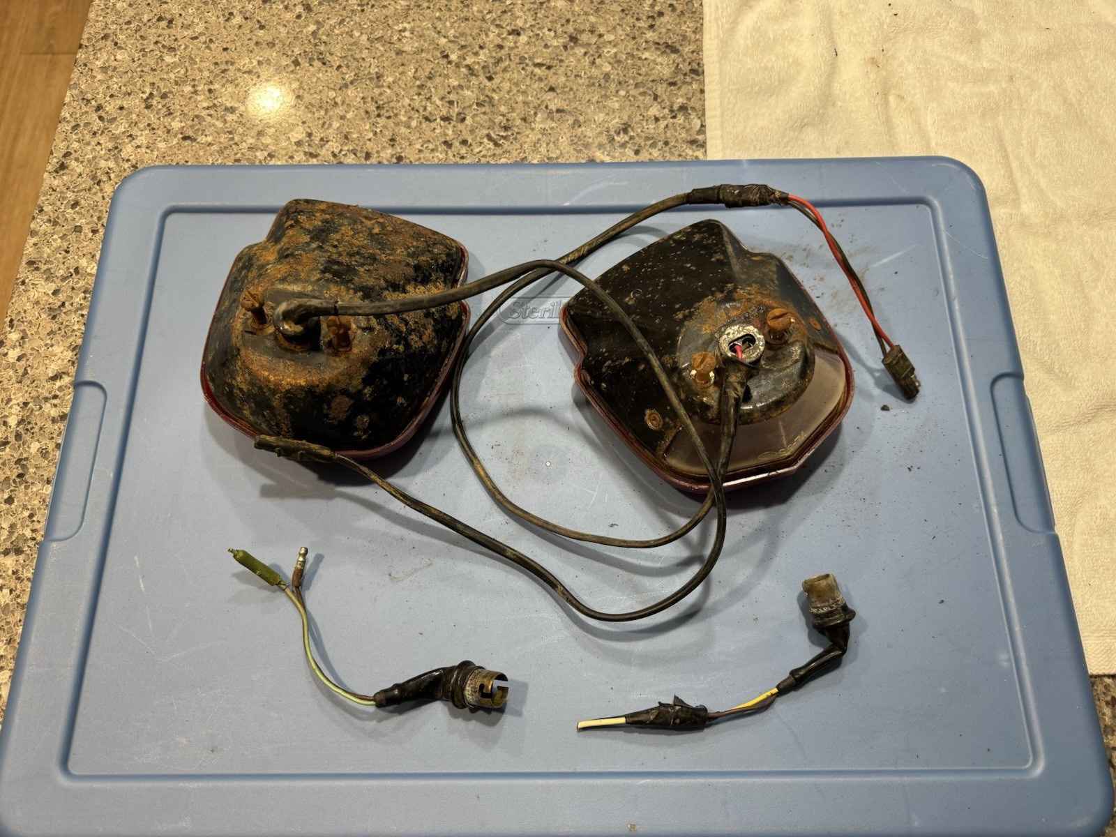1953-1960 Ford Flareside Tail Light 1953-1960 Ford Flareside Tail Light