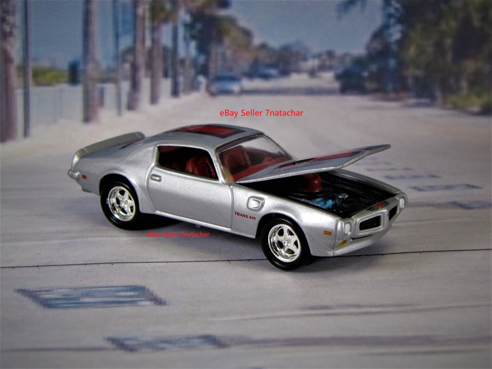 1970-1973 Pontiac Firebird 455 Trans Am Trim Silver 1970-1973 Pontiac Firebird 455 Trans Am Trim Silver
