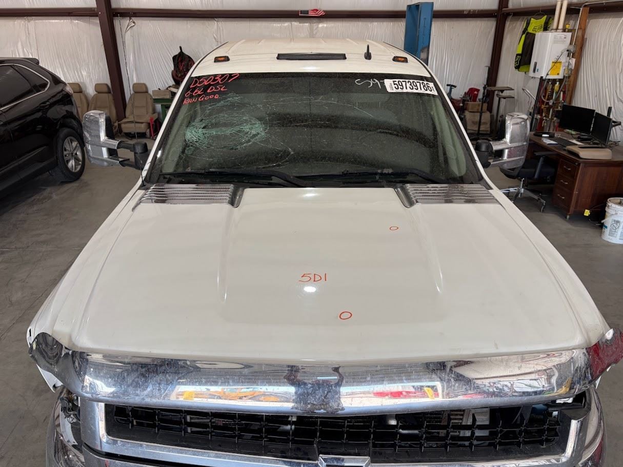 Hood Fits 07-10 SILVERADO 2500 PICKUP 1173906