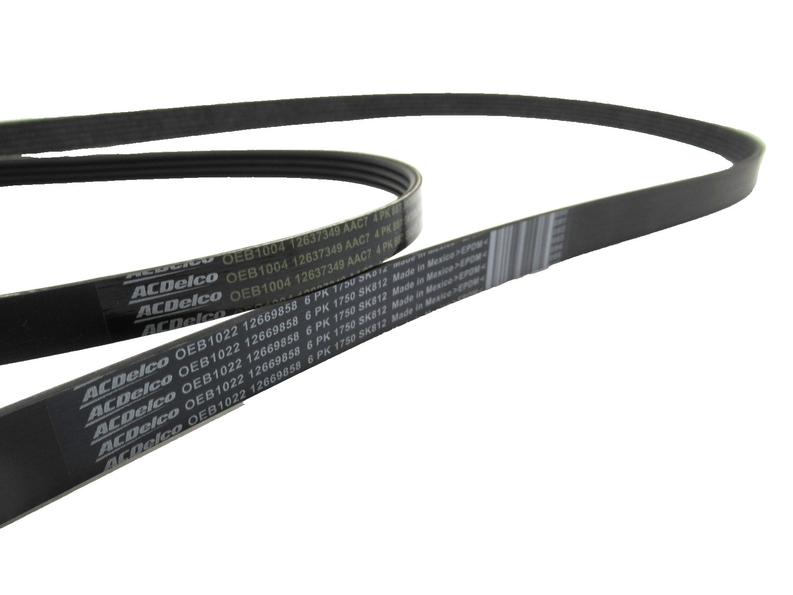 Engine Primary Belt & A/C Belt 2019-26 Chevrolet Silverado GMC Sierra 5.3L 6.2L