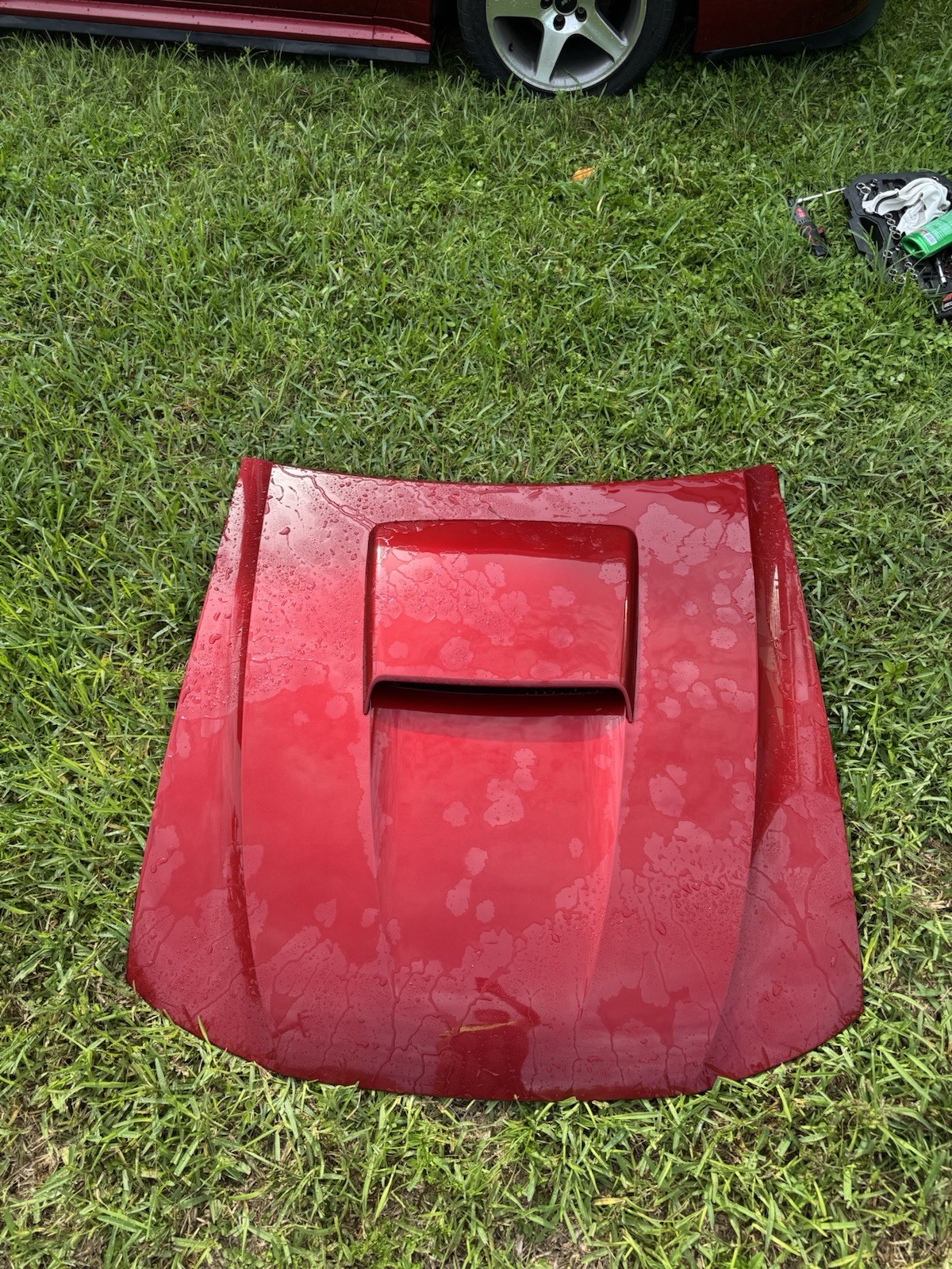 1999-2004 Mustang Gt Hood Laser Red Oem 1999-2004 Mustang Gt Hood Laser Red Oem