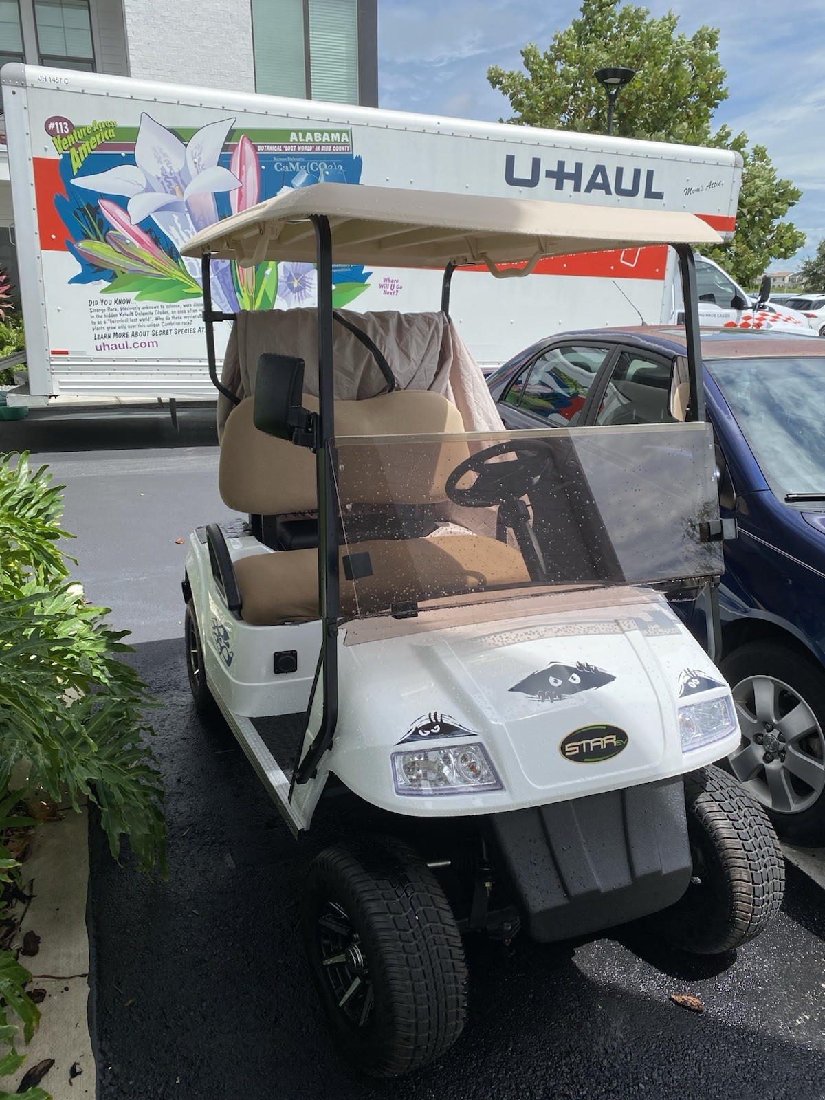 Yamaha EZGO Club Car Icon EV Star 10L0L Golf Cart Flags with Pole and Mount Yamaha EZGO Club Car Icon EV Star 10L0L Golf Cart Flags with Pole and Mount