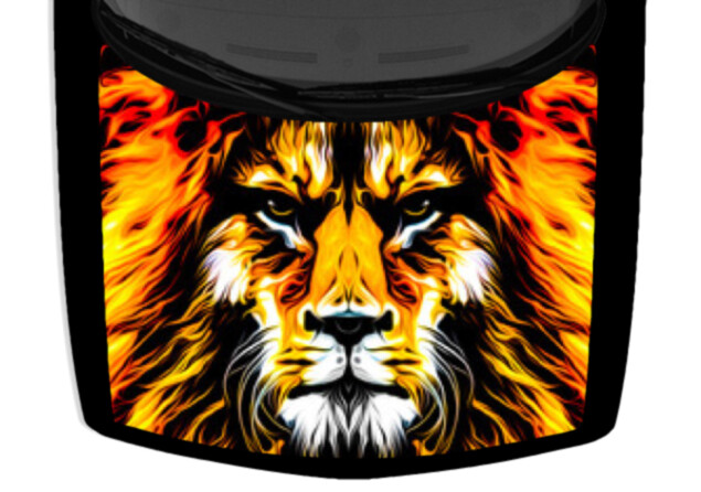 Abstract Lion Head Colorful Illustration Hood Truck Wrap Vinyl Car Graphic Decal