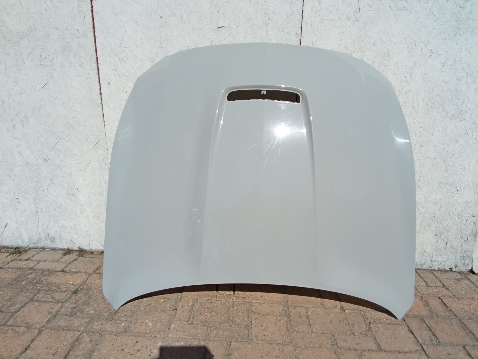 2015-2020 Ford Mustang Shelby GT350, Shelby GT350R Hood FR3Z-16612-C OEM