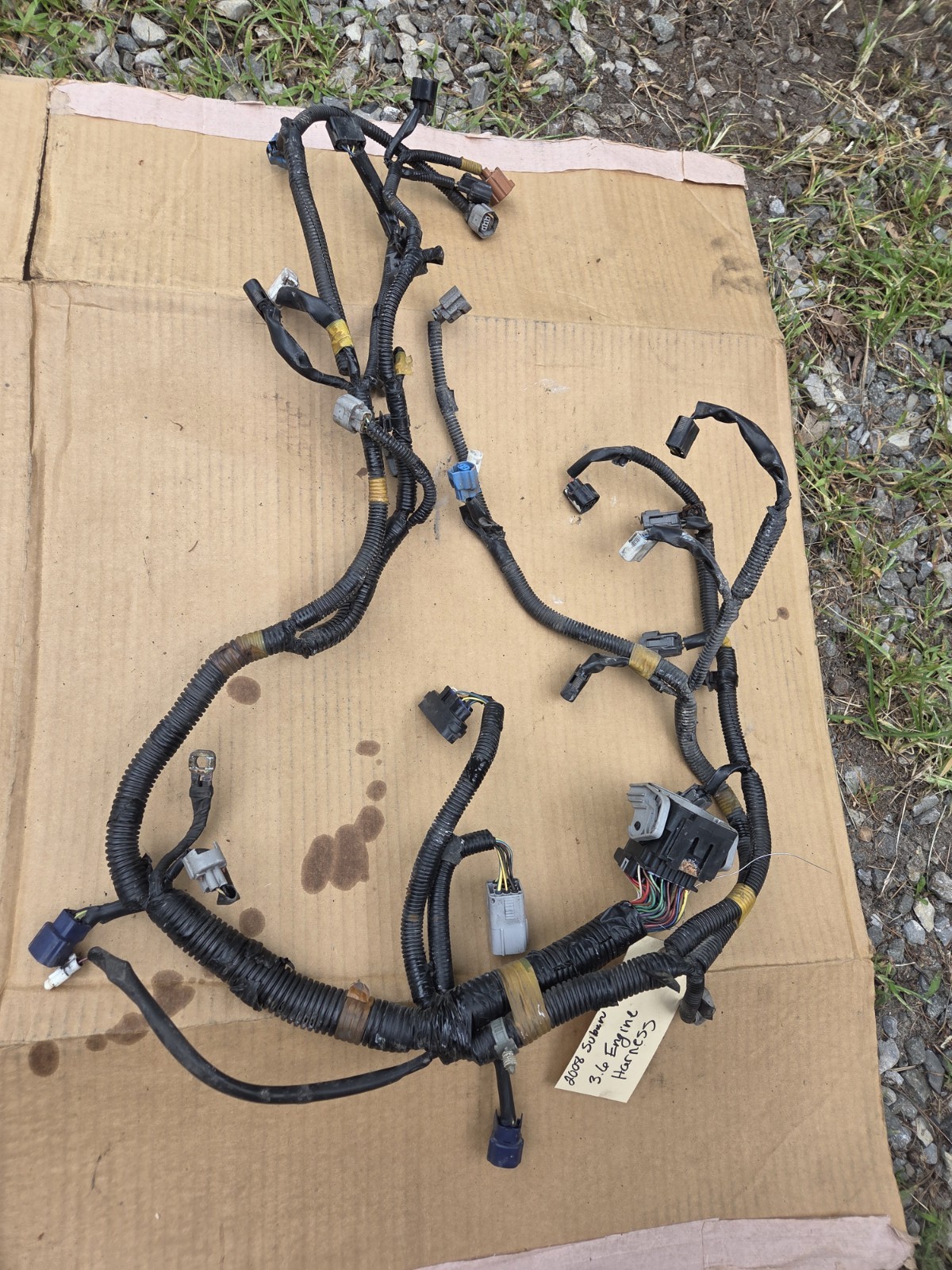 2008-2014 SUBARU TRIBECA ENGINE MOTOR ELECTRICAL WIRING HARNESS 3.6L 2008-2014 SUBARU TRIBECA ENGINE MOTOR ELECTRICAL WIRING HARNESS 3.6L