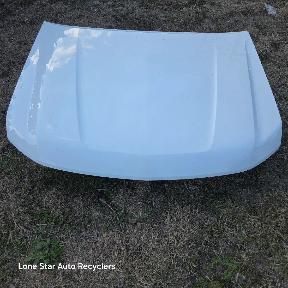 2015-2022 Chevy Colorado Hood (LOCAL PICKUP, NO SHIP)