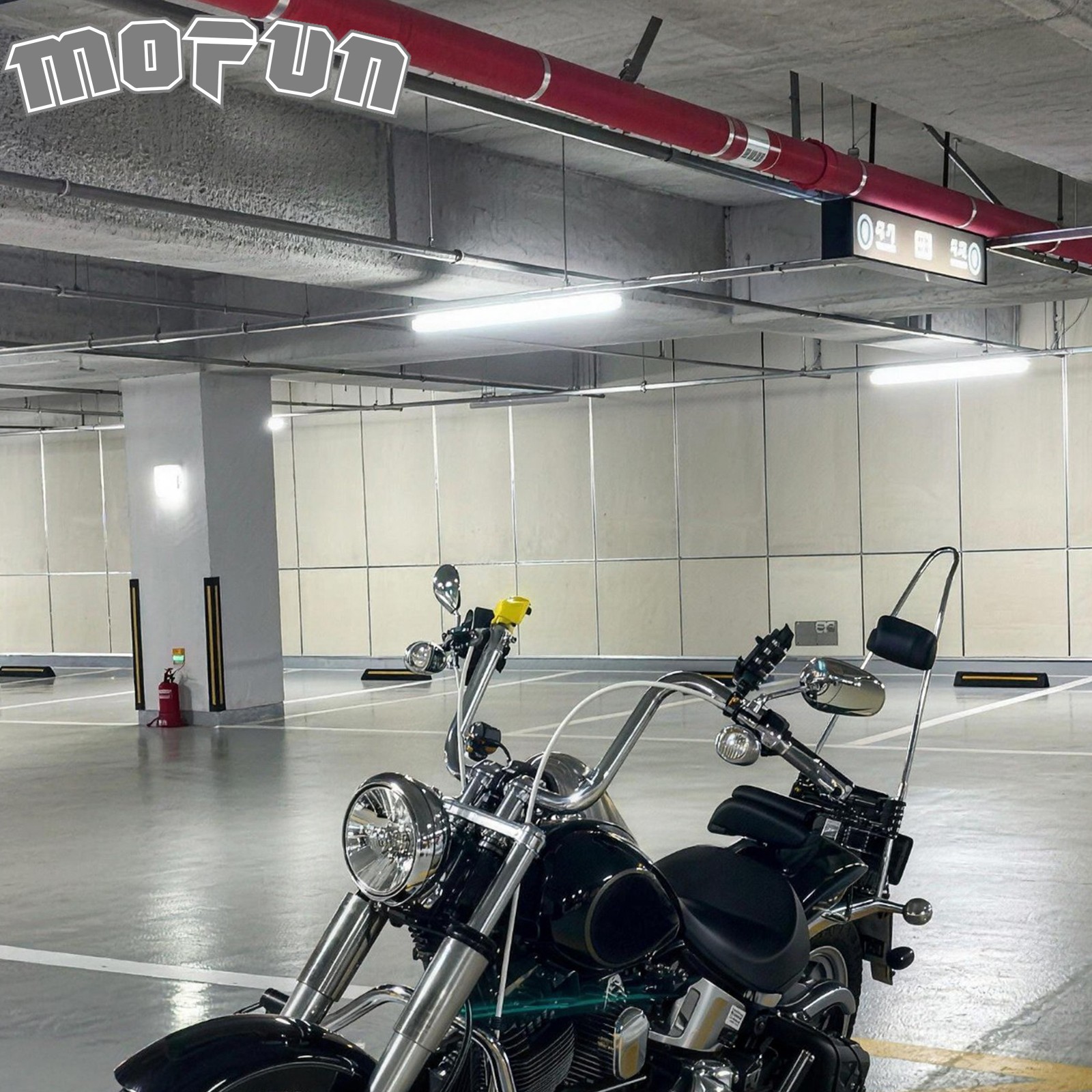 MOFUN 31