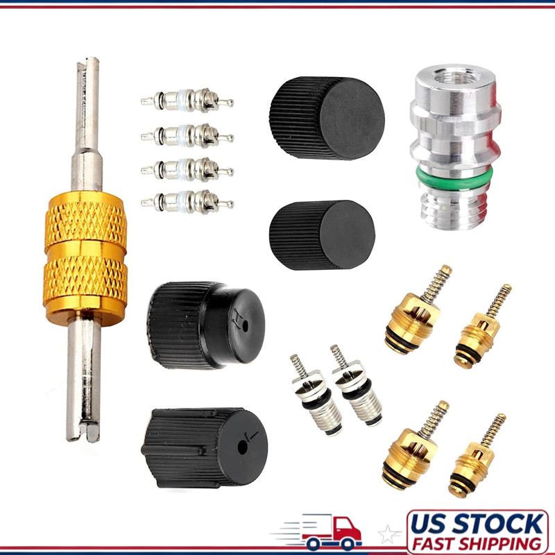 16 PCS AC Valve Core Kit, R134A Pressure Caps and Service Valves, Universal Char