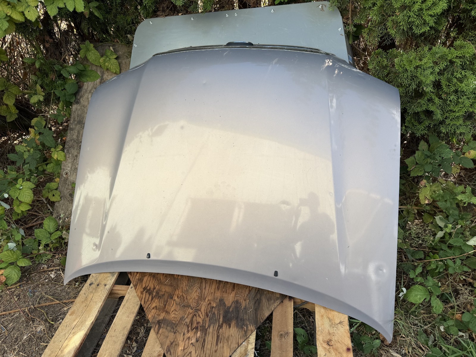 2000-2006 TOYOTA TUNDRA HOOD PANEL GRAY ASSEMBLY OEM minor Dents 2000-2006 TOYOTA TUNDRA HOOD PANEL GRAY ASSEMBLY OEM minor Dents