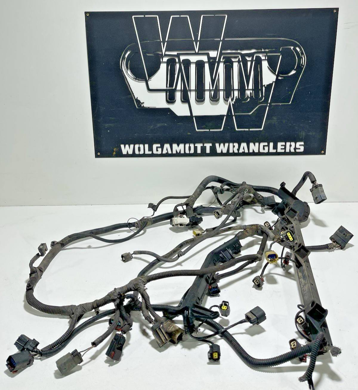 04 Jeep RUBICON Wrangler Engine Injector 4.0 Manual Wiring Harness 56044453AB 04 Jeep RUBICON Wrangler Engine Injector 4.0 Manual Wiring Harness 56044453AB