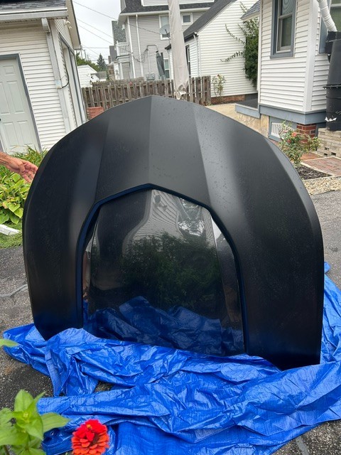 Chevrolet Camaro ZL1 1LE Complete OEM Hood 2018-2024 Included Chevrolet Camaro ZL1 1LE Complete OEM Hood 2018-2024 Included
