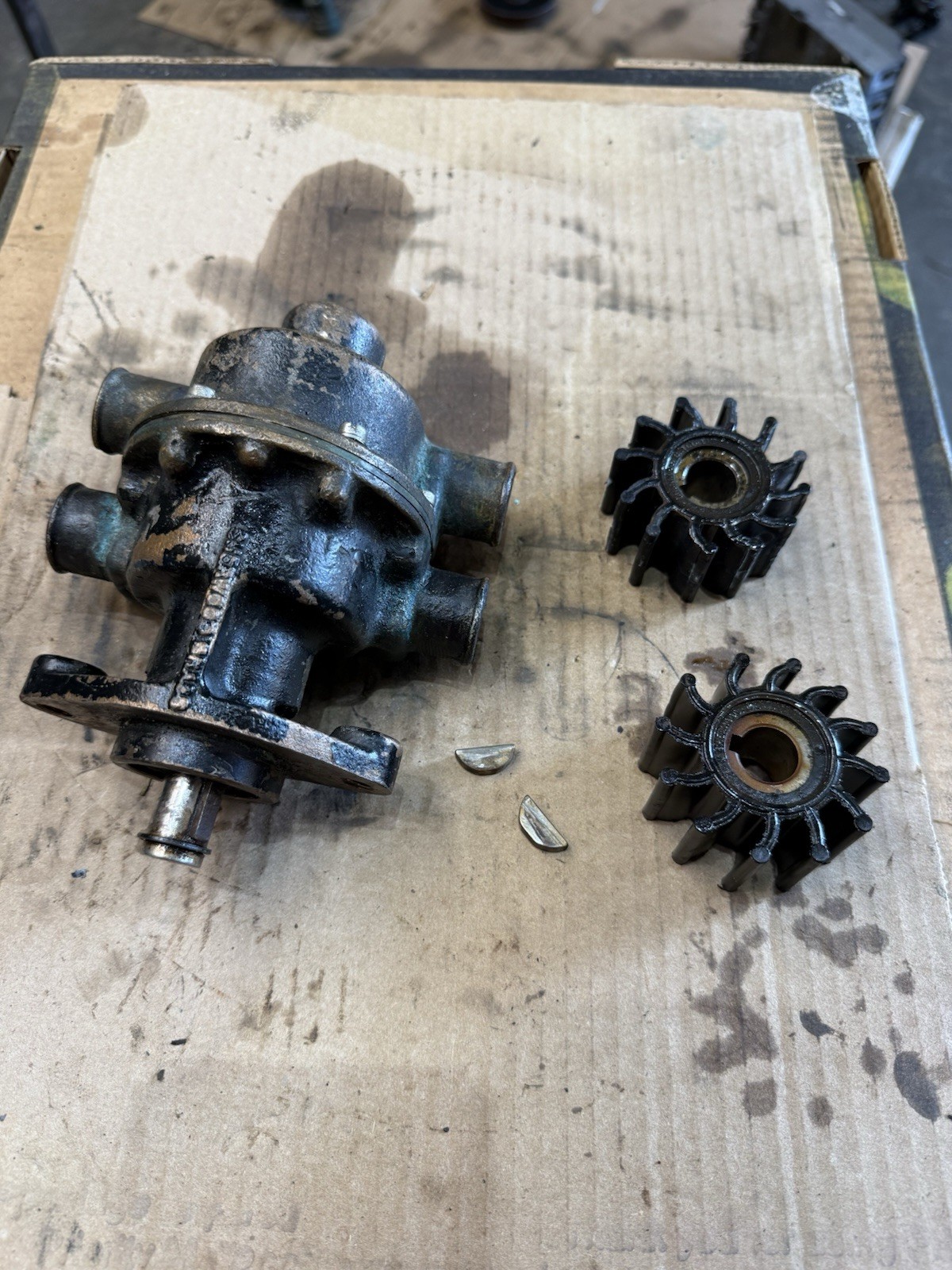 Sherwood Dual-port/double-pocket raw water pump D-55