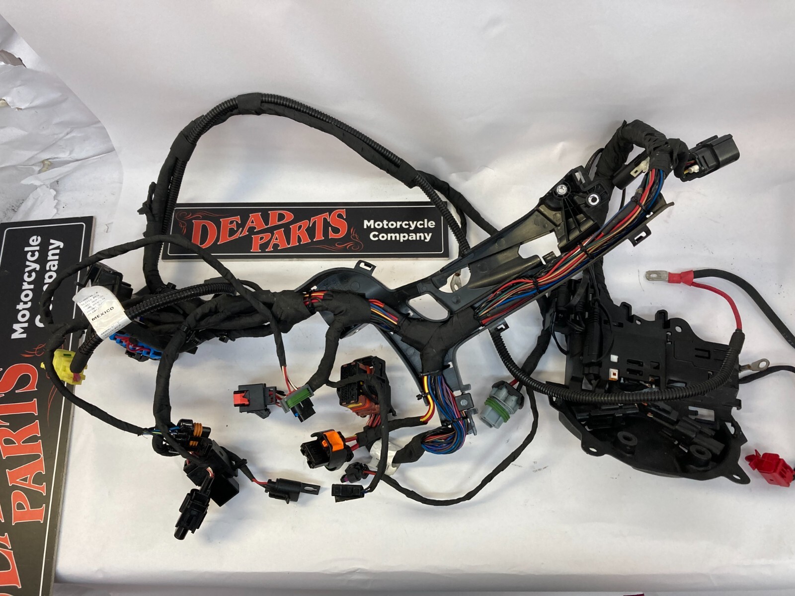 Harley 21-23 Sportster Nightster main wiring harness 69202576 nice complete
