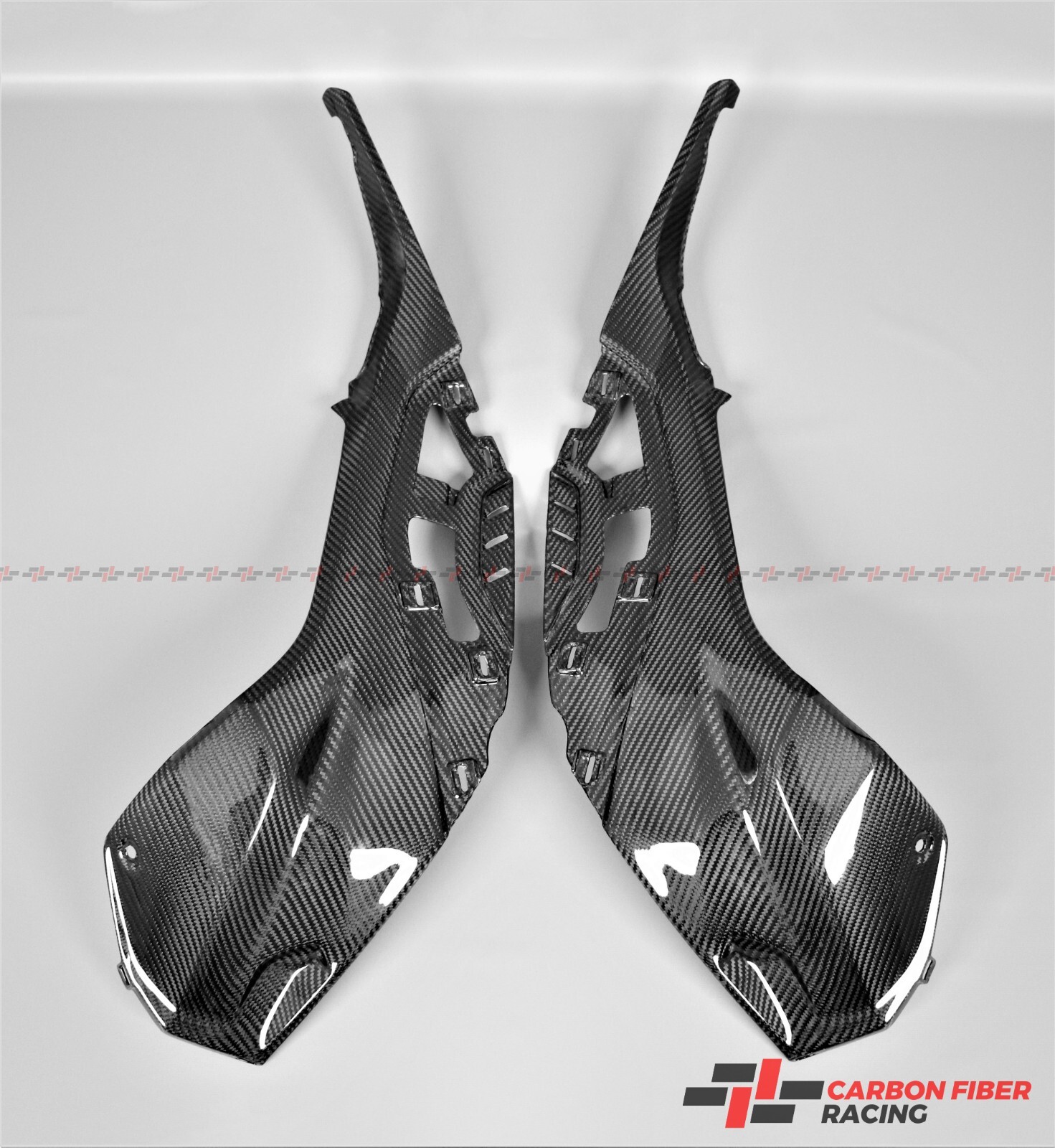 Carbon Fiber Tank Underseat Side Panels for BMW M1000R, M1000RR, S1000R, S1000RR