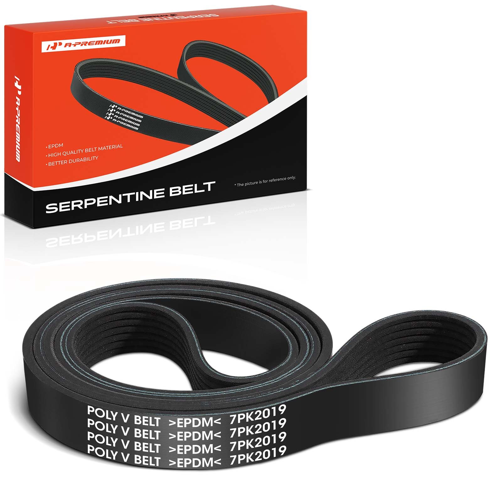 A-Premium 79.5 in Serpentine Belt for Nissan 370Z 09-20 INFINITI Q70 14-19 Q70L A-Premium 79.5 in Serpentine Belt for Nissan 370Z 09-20 INFINITI Q70 14-19 Q70L
