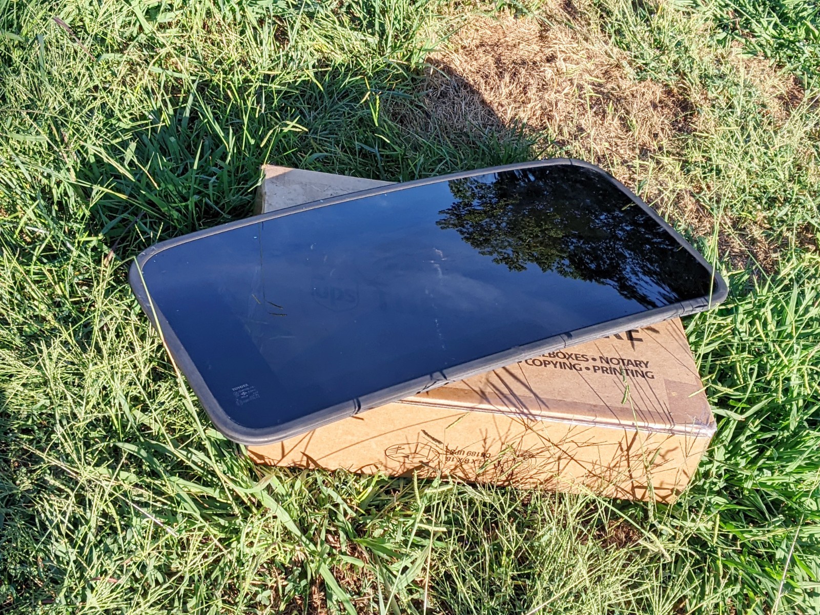 ✅  1994-1999 Toyota Celica moonroof Glass Factory sunroof OEM
