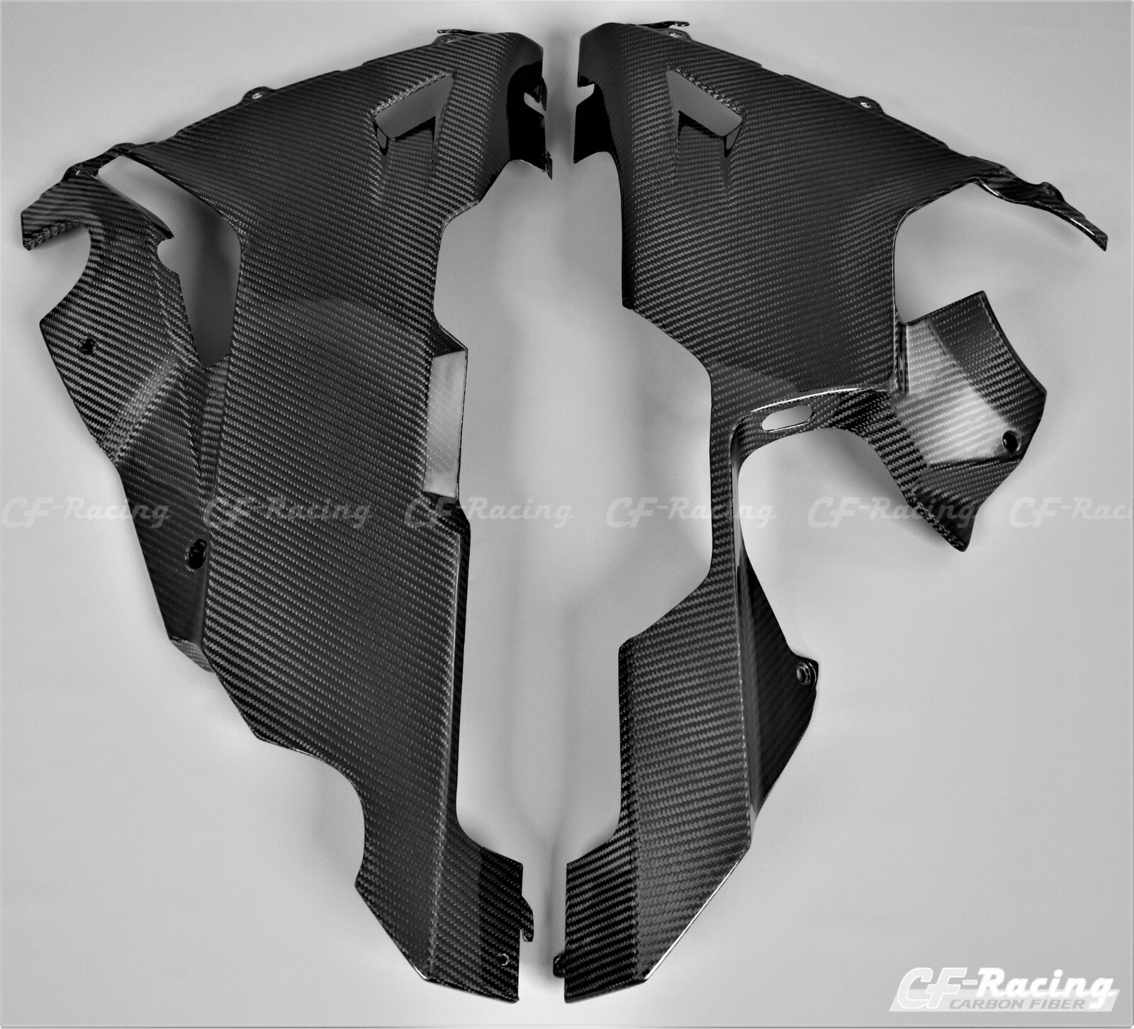 2017-2019 Honda CBR1000RR Belly Pan - 100% Carbon Fiber