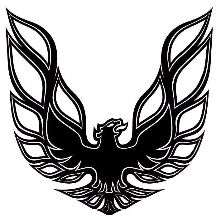 Firebird Trans AM Vintage Retro American Muscle Car Vinyl Sticker Decal Hood Firebird Trans AM Vintage Retro American Muscle Car Vinyl Sticker Decal Hood