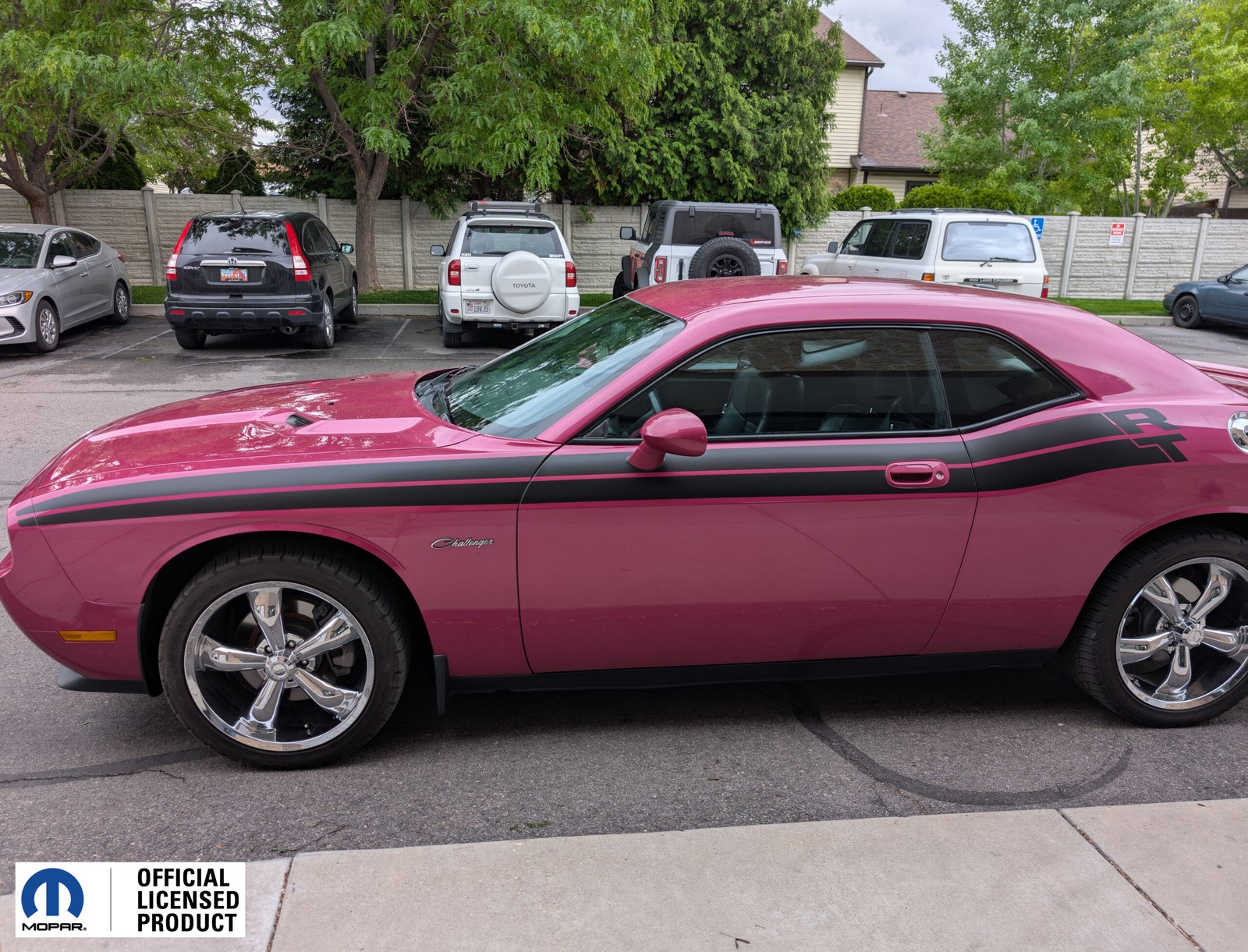 Fits 08-10 Dodge Challenger RT Side Stripes Vinyl Sticker Decals Fits 08-10 Dodge Challenger RT Side Stripes Vinyl Sticker Decals