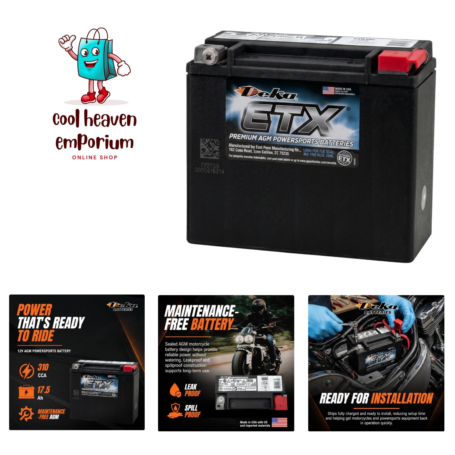 Deka Power Sports Battery