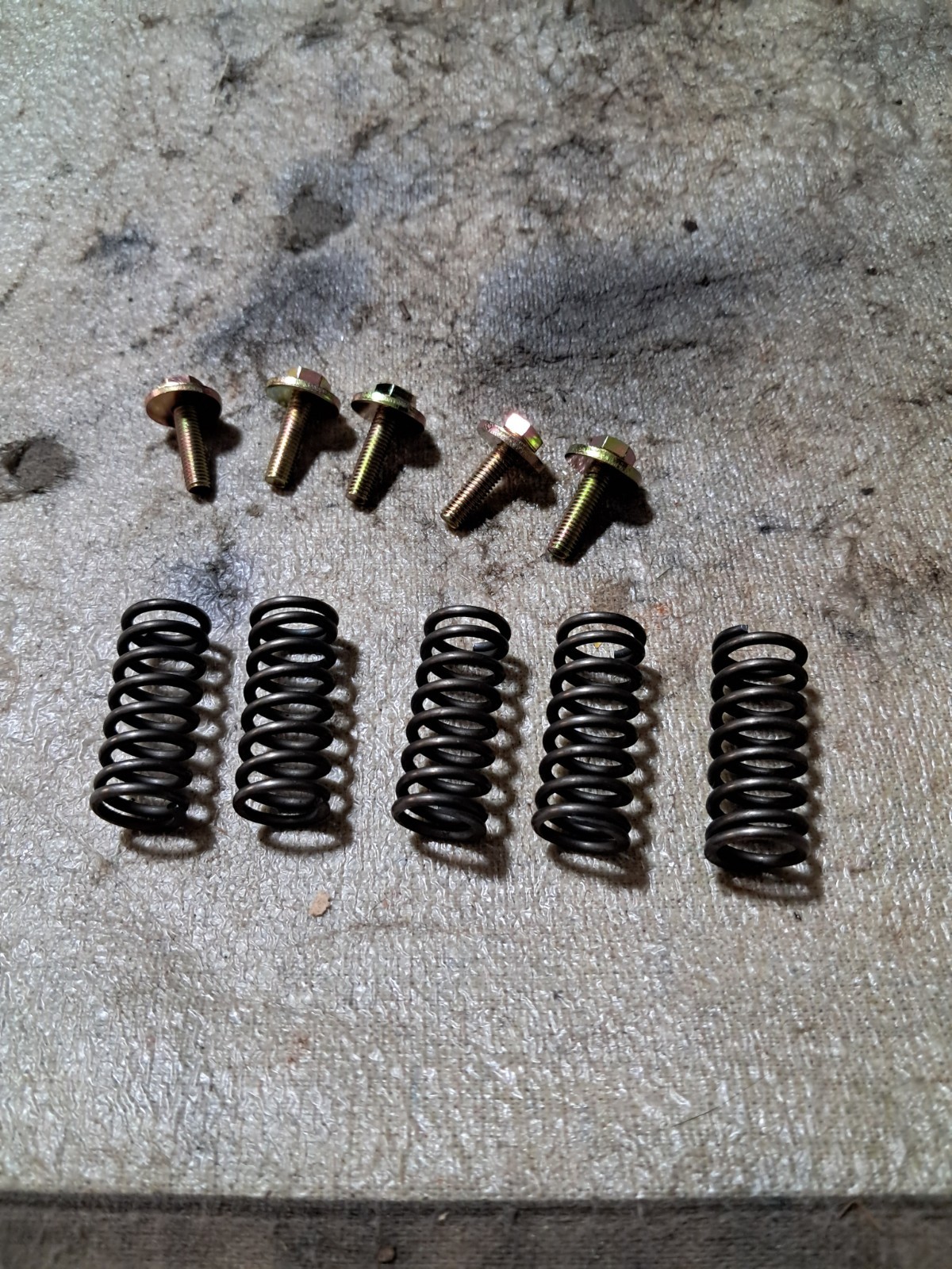 1988-2006 Yamaha Blaster Clutch Springs And Screws 1988-2006 Yamaha Blaster Clutch Springs And Screws
