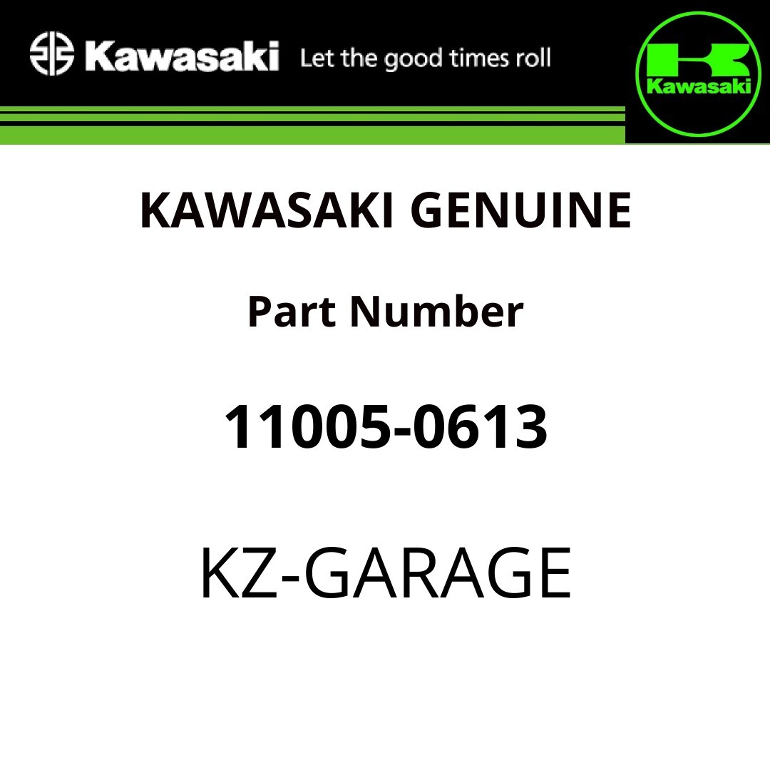 Kawasaki Geniune Cylinder KX 250 F KX-F 250 2009-2016 US 11005-0613 NEW