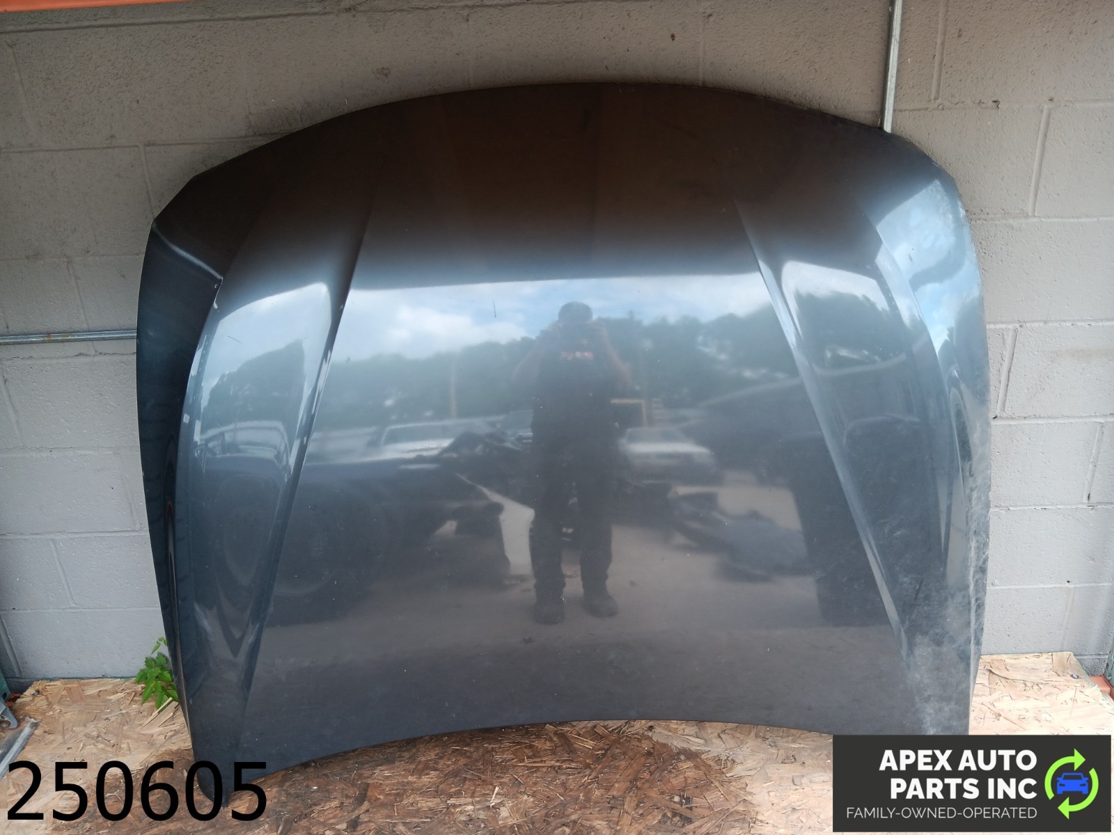 *NO SHIPPING* 2012-2015 BMW 320i 2.0L Hood Bonnet Shell Cover Panel Assembly *NO SHIPPING* 2012-2015 BMW 320i 2.0L Hood Bonnet Shell Cover Panel Assembly