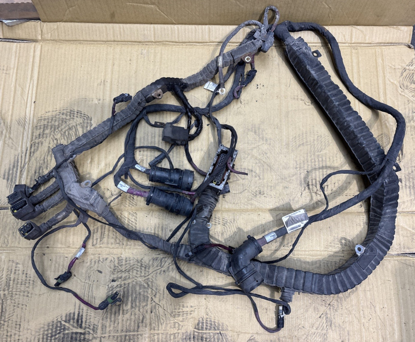 Peterbilt Chassis Wiring Harness D92-6212-001 Peterbilt Chassis Wiring Harness D92-6212-001