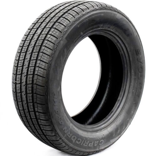 4 New Evoluxx Capricorn HP 205/60R16 2056016 205 60 16 High Performance Tire