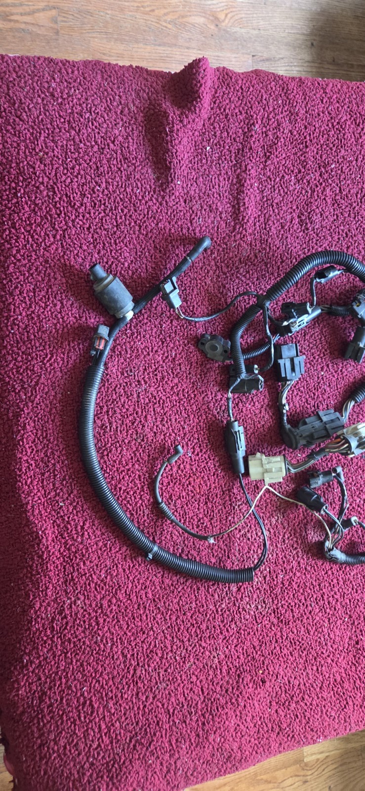 86-93 Mustang GT LX 5.0 Injector Wiring Harness. 86-93 Mustang GT LX 5.0 Injector Wiring Harness.