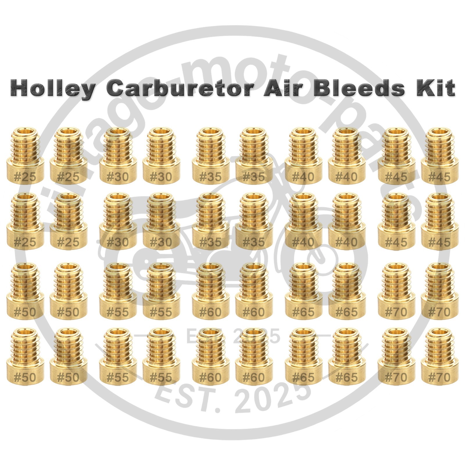 40 PACK For Holley Carburetor AIR BLEEDS Assortment Kit .025 in.-.070 in. -US