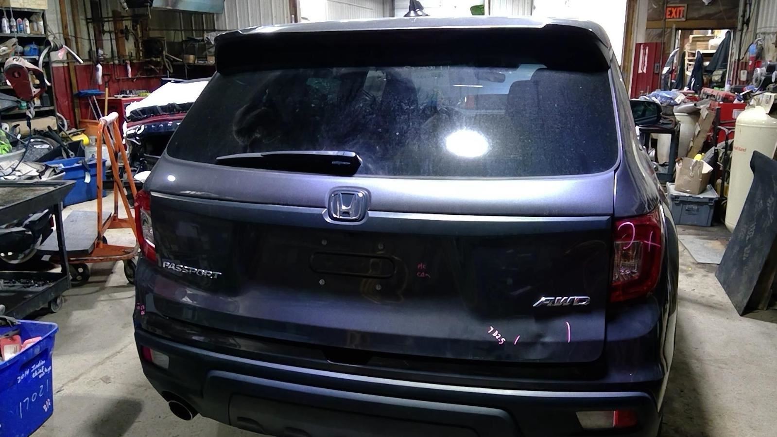 Trunk/Hatch/Tailgate Fits 19-25 PASSPORT 1041851