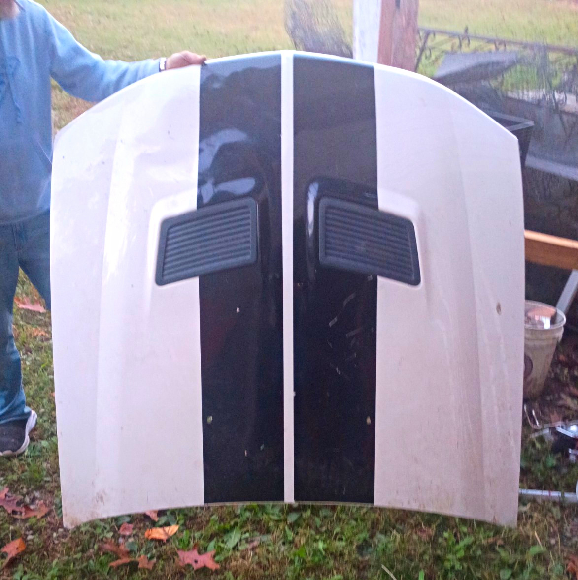 08 Shelby GT 500 Hood 08 Shelby GT 500 Hood