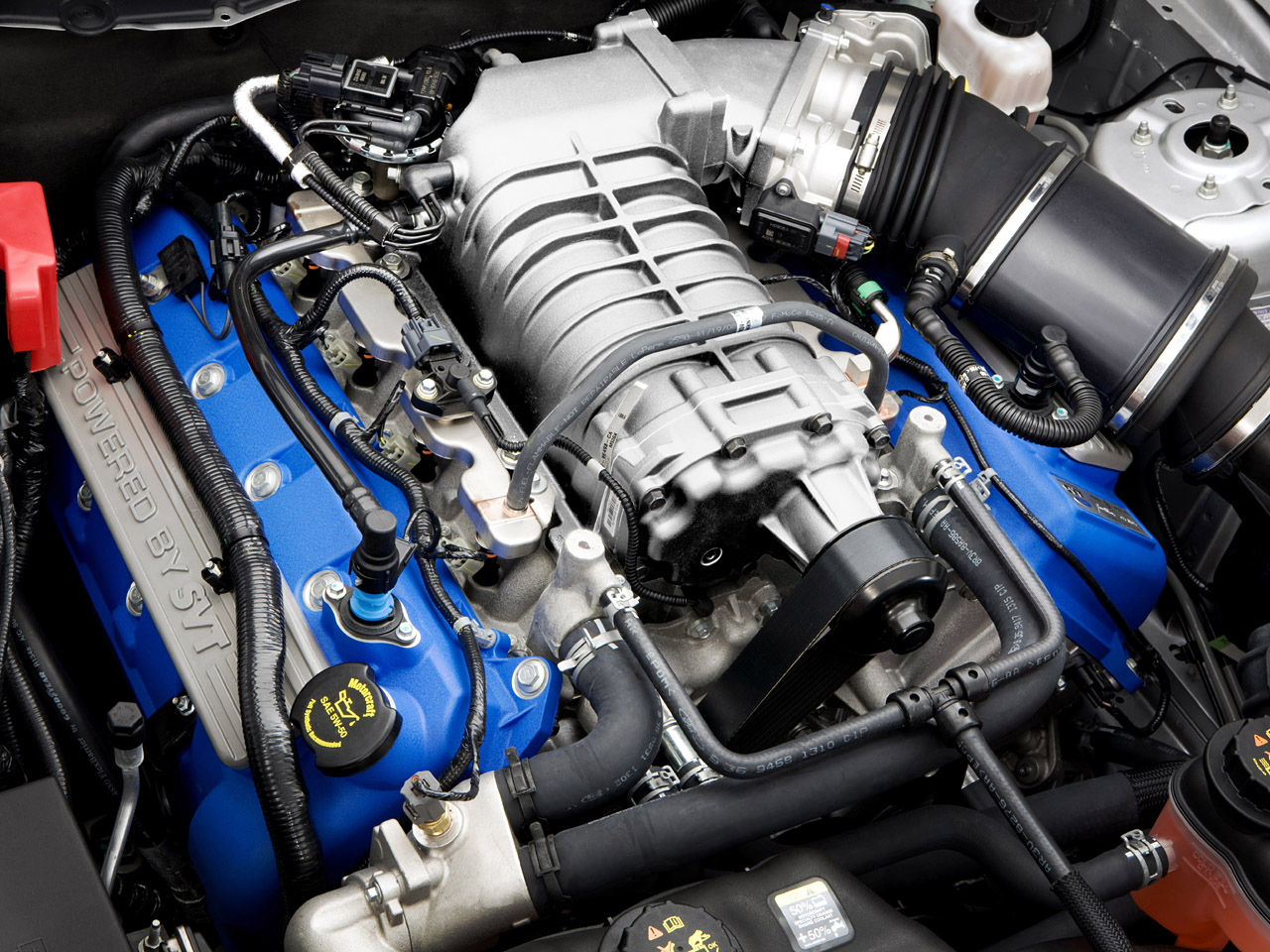 2011 Ford Shelby GT500