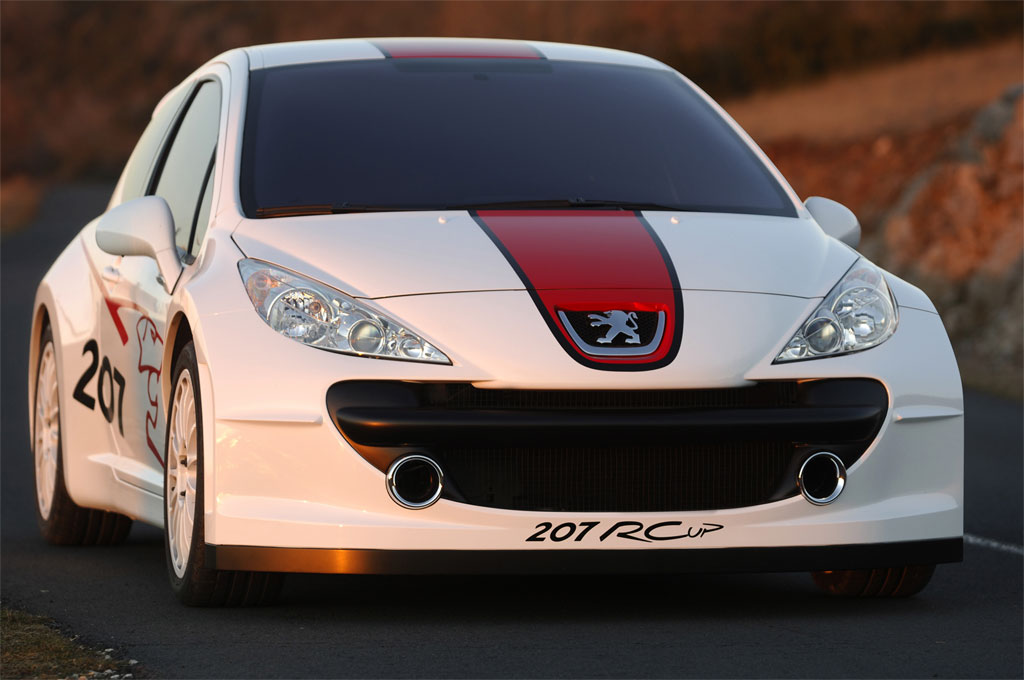 2006 Peugeot 207 RCup Concept