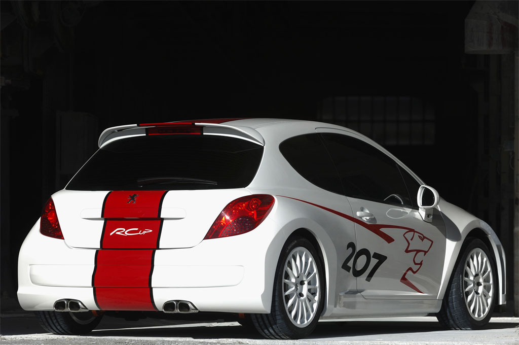 2006 Peugeot 207 RCup Concept