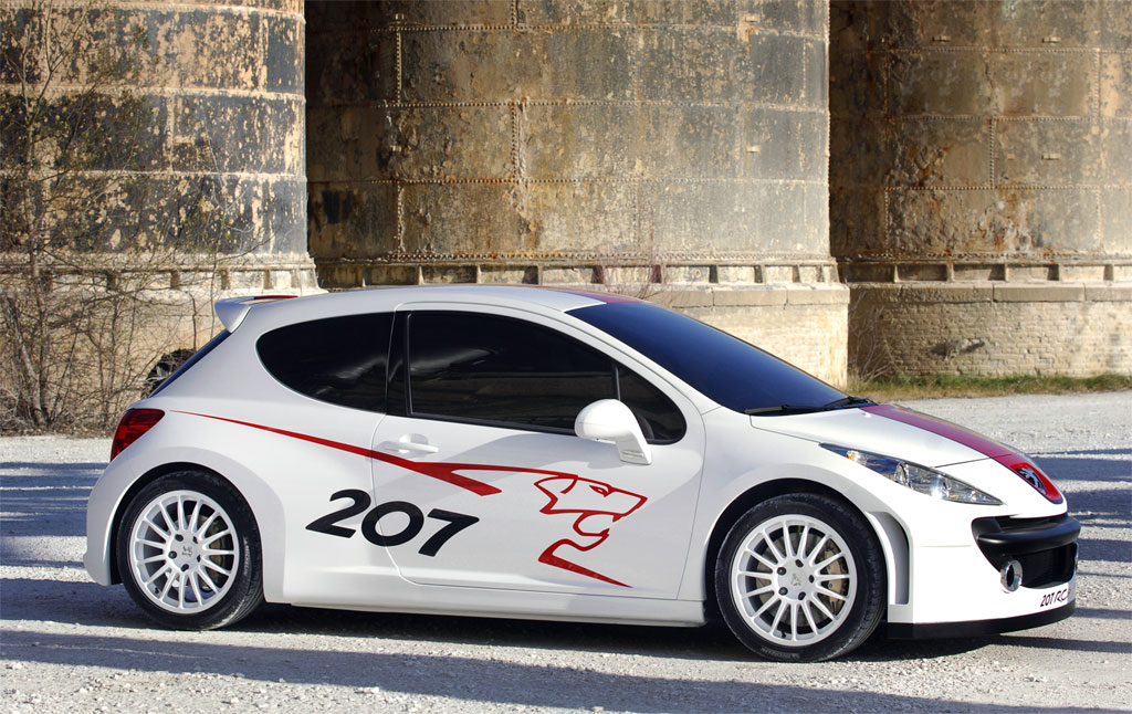2006 Peugeot 207 RCup Concept