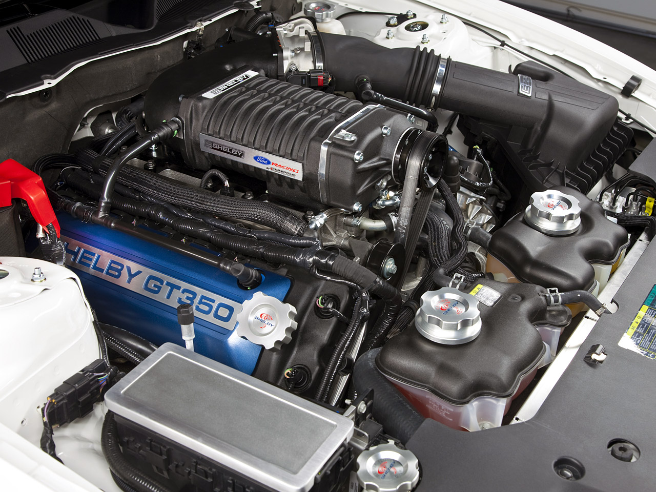 2011 Shelby GT350